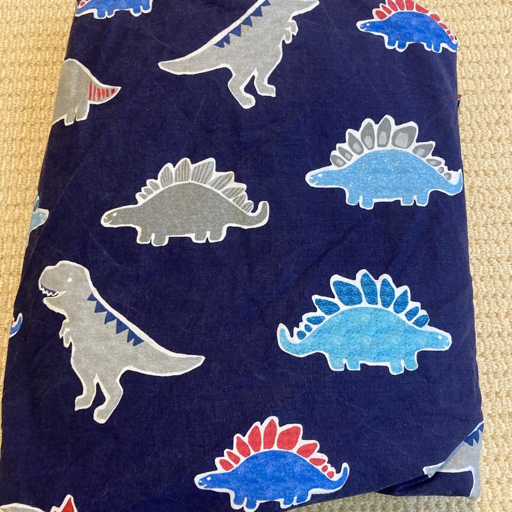 Pottery Barn Kids Organic Twin Dinosaur Duvet Cover